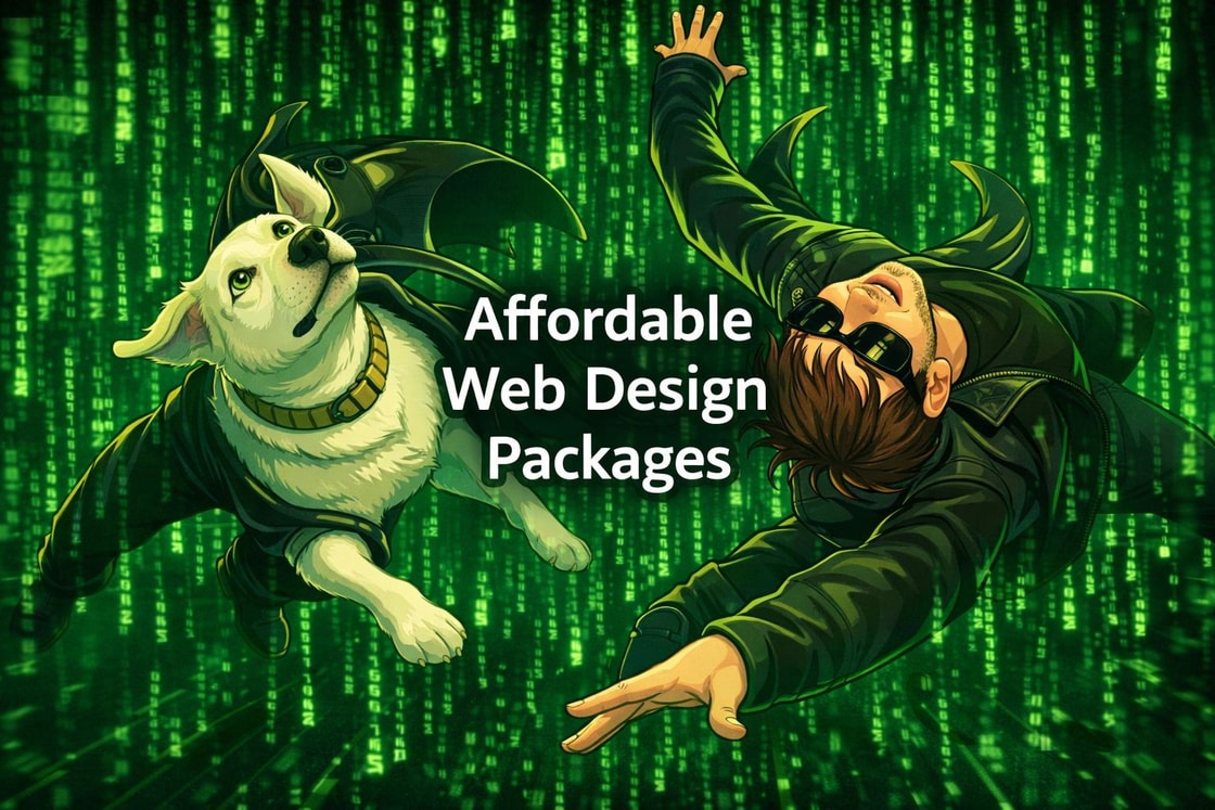 Affordable web design comparison between CMS and custom websites