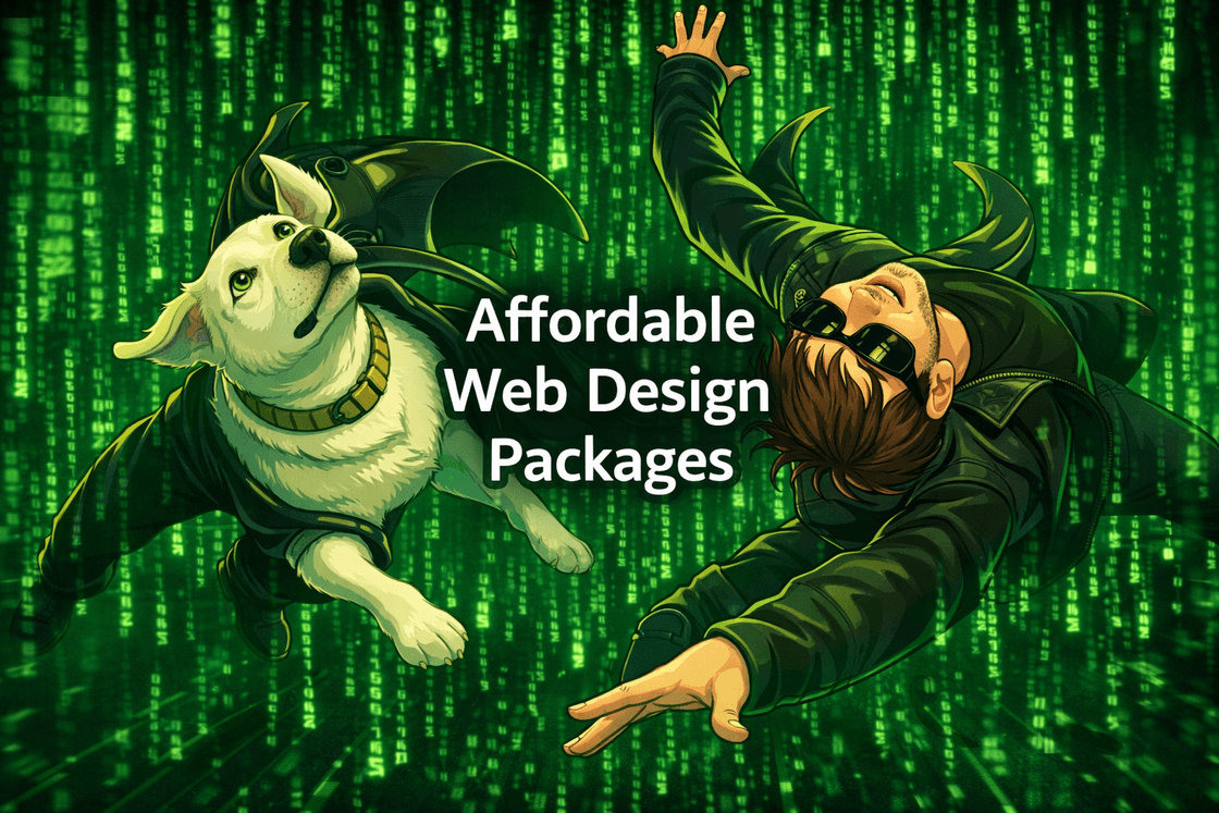 Affordable web design comparison between CMS and custom websites